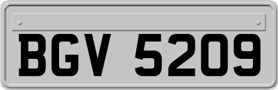 BGV5209