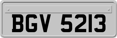 BGV5213