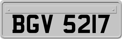 BGV5217