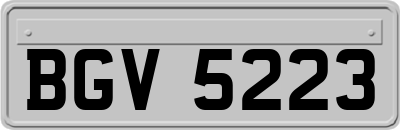 BGV5223