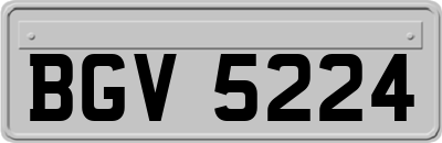 BGV5224