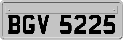 BGV5225