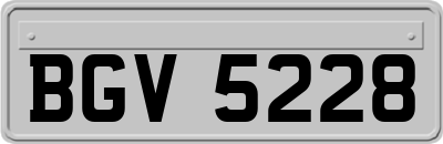 BGV5228