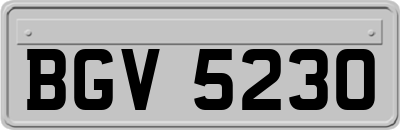 BGV5230