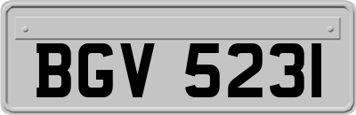 BGV5231