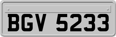 BGV5233