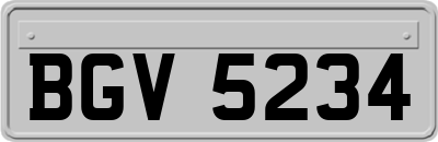 BGV5234