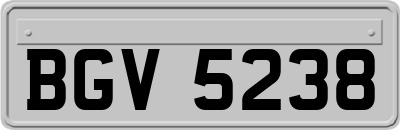BGV5238