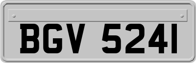 BGV5241