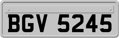 BGV5245