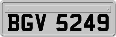 BGV5249