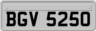 BGV5250