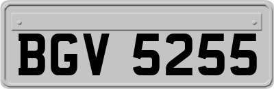 BGV5255