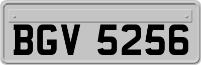 BGV5256