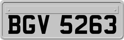 BGV5263