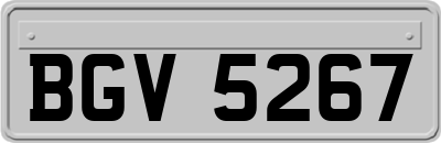 BGV5267