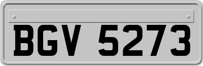 BGV5273