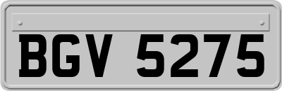 BGV5275