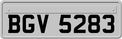 BGV5283
