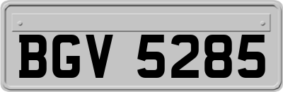 BGV5285