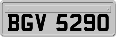 BGV5290