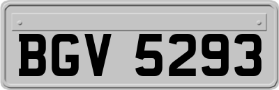 BGV5293