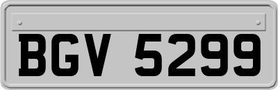 BGV5299