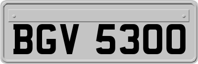BGV5300