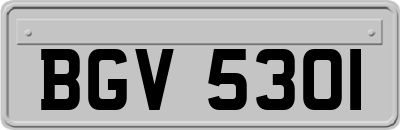 BGV5301