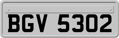 BGV5302