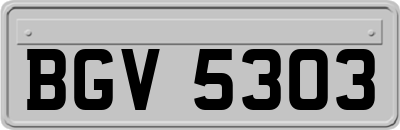BGV5303