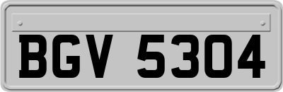 BGV5304