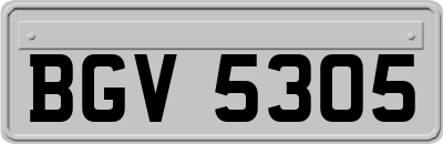BGV5305