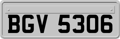 BGV5306