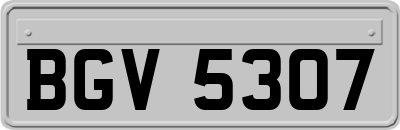 BGV5307