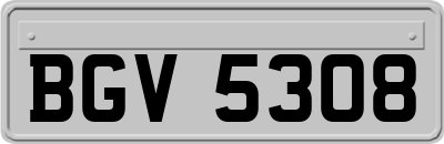 BGV5308