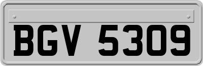 BGV5309