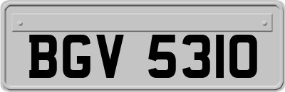 BGV5310
