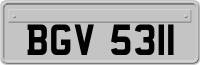 BGV5311