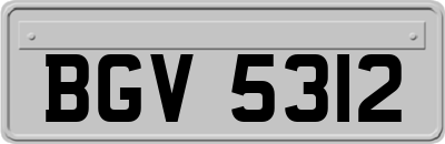 BGV5312