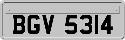 BGV5314
