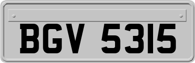 BGV5315