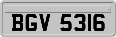 BGV5316