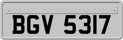 BGV5317