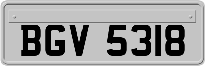 BGV5318