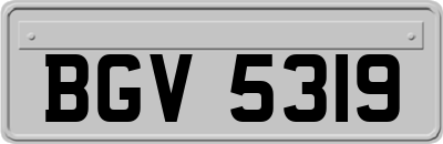BGV5319