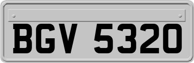 BGV5320