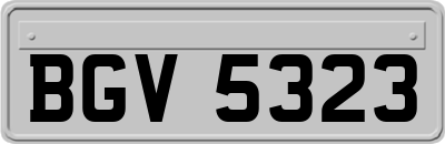 BGV5323