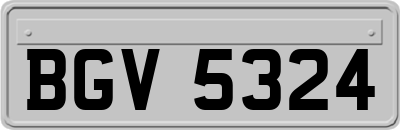 BGV5324