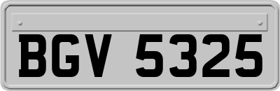 BGV5325